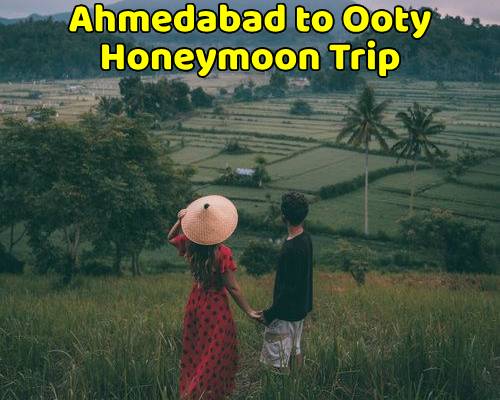 Ahmedabad to Ooty Tour Package (Honeymoon Trip)