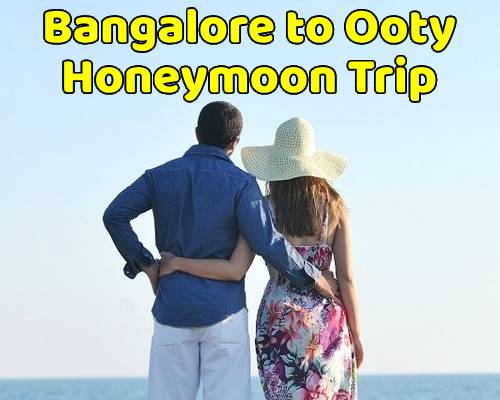 Bangalore to Ooty Tour Package (Honeymoon)