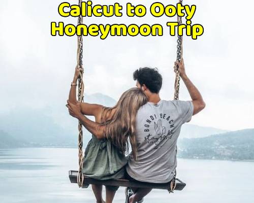 Calicut to Ooty Trip (Honeymoon Package)