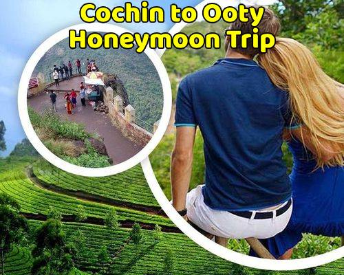 Cochin to Ooty Trip (Honeymoon Package)