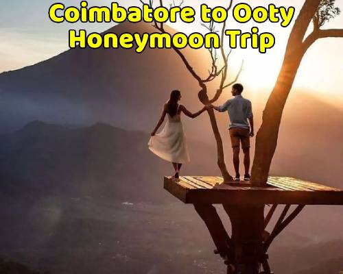 Coimbatore to Ooty Tour Package (Honeymoon)
