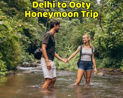 Delhi to Ooty Tour Package (Honeymoon)
