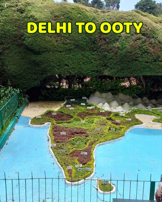Delhi to Ooty Tour Packages