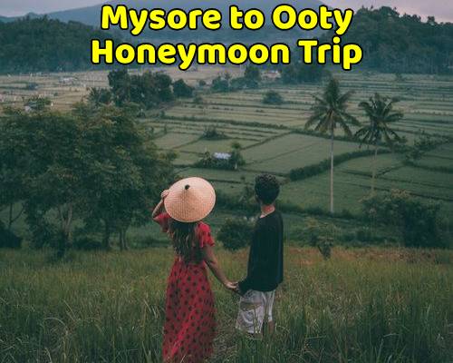 Mysore to Ooty Tour Package (Honeymoon Trip)