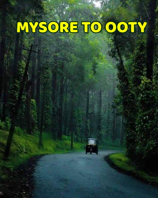 Mysore to Ooty Tour Packages