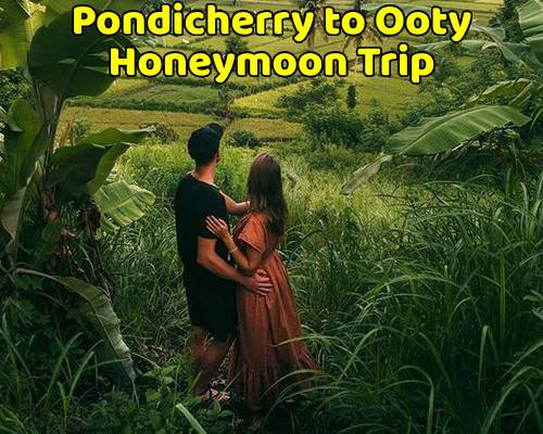 Pondicherry to Ooty Trip (Honeymoon Package)