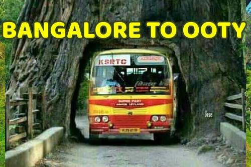 Bangalore to Ooty