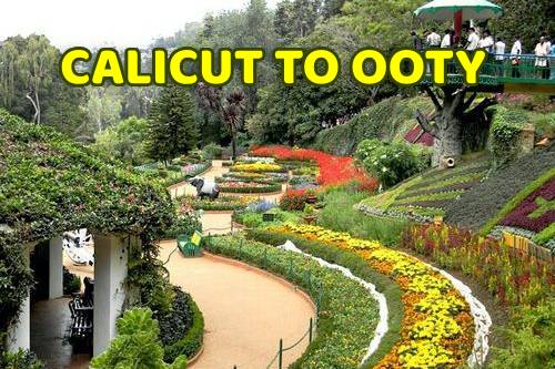 Calicut to Ooty