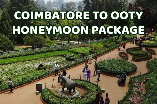 Coimbatore to Ooty Honeymoon Package