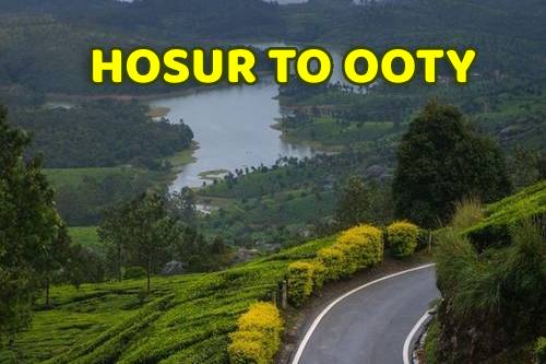 Hosur to ooty tour package