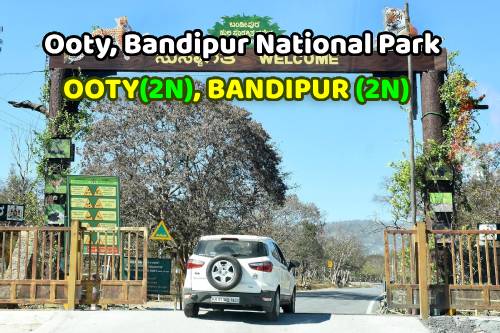 Ooty, Bandipur National Park Package