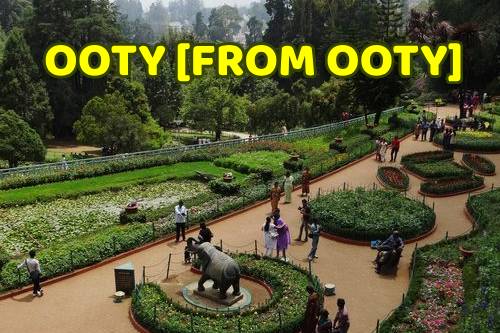 Ooty Sightseeing Package for 2 days