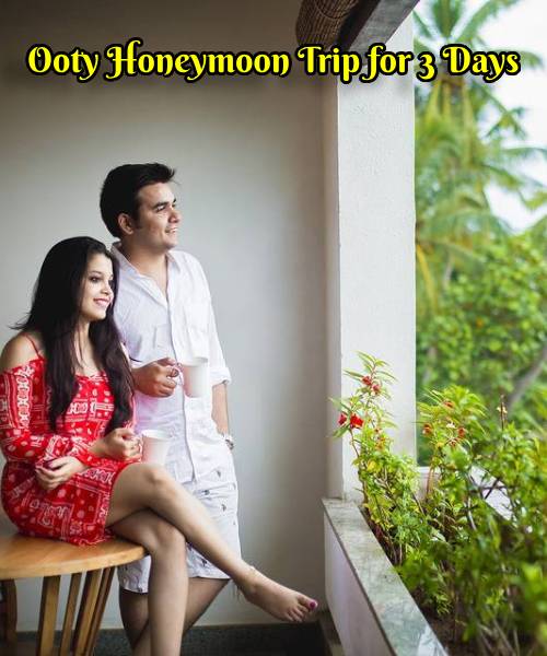 Ooty Honeymoon Tour Packages for 3 Days & 2 Nights (Budget)