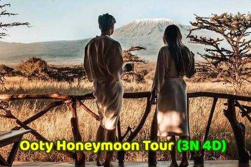 Chennai to Ooty Honeymoon Package for 3 Nights 4 Days
