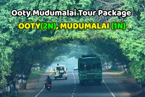 Ooty Mudumalai Tour Package