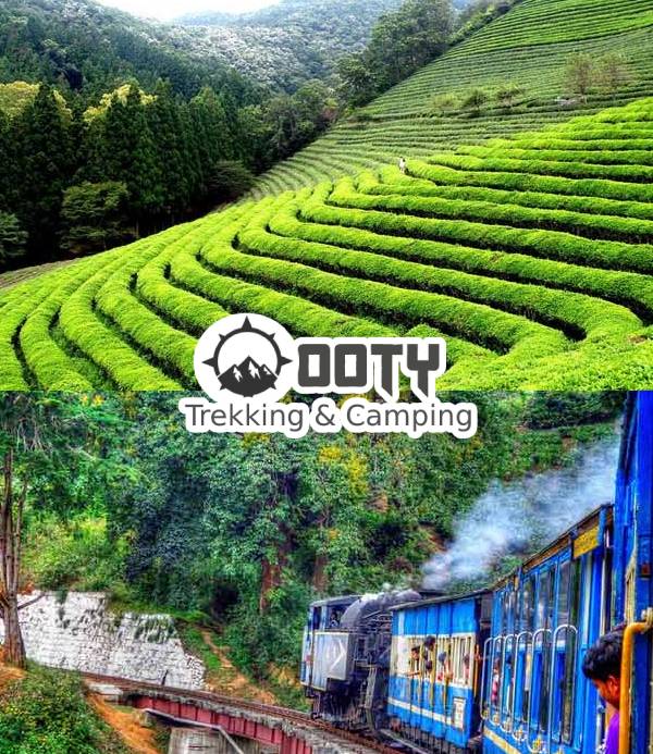 Ooty Wayanad Tour Package from Bangalore