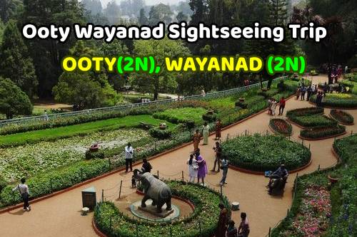 Ooty Wayanad Sightseeing Trip