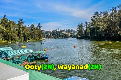 Bangalore to Ooty(2N), Wayanad(2N) Trip - 4 Nights 5 Days