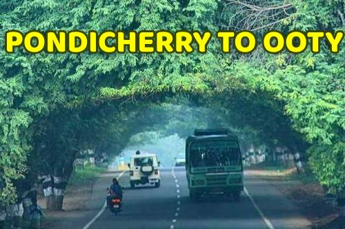 Pondicherry to Ooty